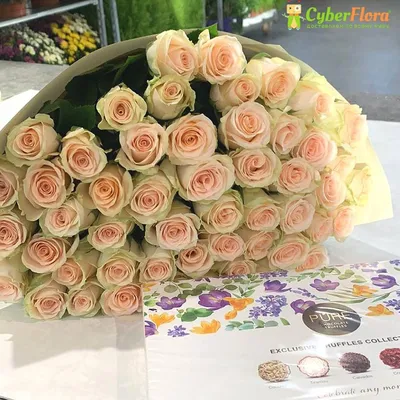 101 кремовая роза - заказать с доставкой по Коврову | Флоренция - Online  shop delivery flower.