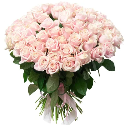 Огромный букет из 101 кремовой розы! | Flowerkiss