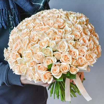 51 кремовая роза: цена, заказать с доставкой по Тихорецке в  интернет-магазине Cyber Flora®