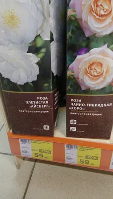 Кронос (ID#716849906), цена: 80 ₴, купить на Prom.ua