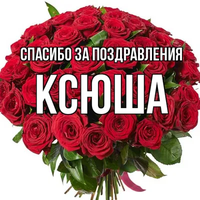 РОР / САЖЕНЦЫ ПИТОМНИКА / Розы / XENIA (KORELPUSCH) (Ксения)