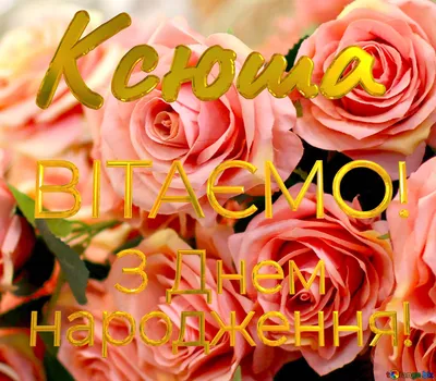 Роза Филателия Купить саженцы в Питомнике Садовый мир в Подмосковье, цены  от 650 руб