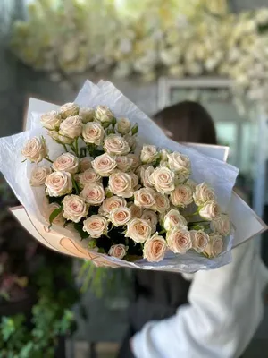 Роза кустовая Yana купить в Калининграде ✿ Цветы у Степана