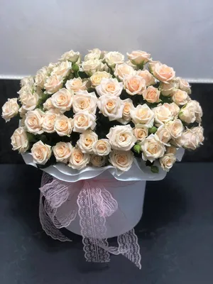 Купить 9 кустовых роз сорта \"Яна\" в упаковке в Красноярске! Дом Цветов