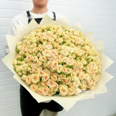 Кустовая роза \"Яна\" купить в Краснодаре недорого - доставка 24 часа