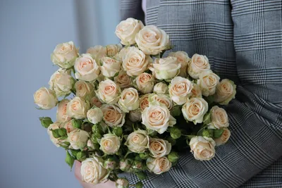 🌷 Роза кустовая купить оптом в Москве - роза в «7ЦВЕТОВ»🌺
