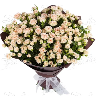 Большой букет 101 кустовая кремовая роза \"Яна\" купить с доставкой по  Краснодару