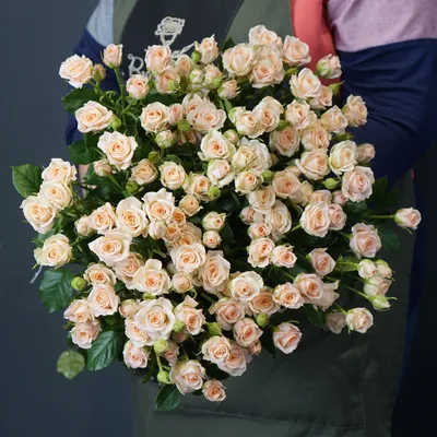 Роза кустовая спрея Яна (40 см), Цветы и подарки в Аксае, купить по цене  140 RUB, Цветы поштучно в Цветут Цветы с доставкой | Flowwow