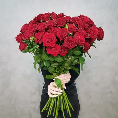 Купить кустовую розу для интерьера 70 см. (Красная) в магазине  \"My-Florist.ru\"