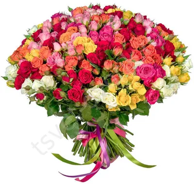 51 кустовая красная роза Рубикон 50 см| доставка по Москве и области
