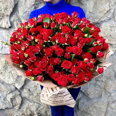 Красная кустовая роза купить в Саратове недорого
