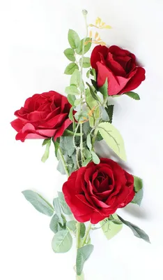 Букет 21 кустовая роза заказать с доставкой в Челябинске - салон «Дари  Цветы»