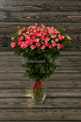 Купить 51 кустовую пионовидную красную розу по доступной цене с доставкой в  Москве и области в интернет-магазине Город Букетов