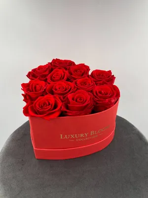 Real Roses That Last A Year and Beyond – Luxury Bloom Collection