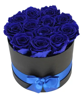 Luxury Dozen Preserved Sapphire Blue Roses at From You Flowers