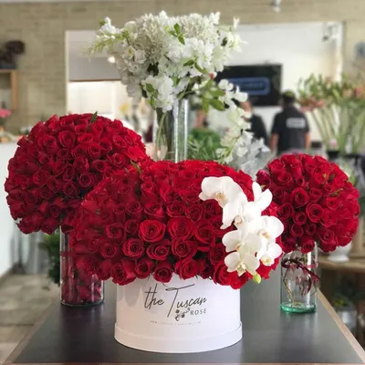 Luxury Gray Velvet Signature Box Red Roses in Newport Beach, CA | L'amour  Toujours Flower Boutique