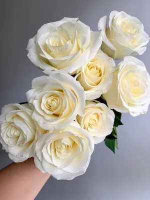 Luxury Red Rose Bouquet | Romantic Flowers | Brighton Flower