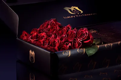 Luxury Rose