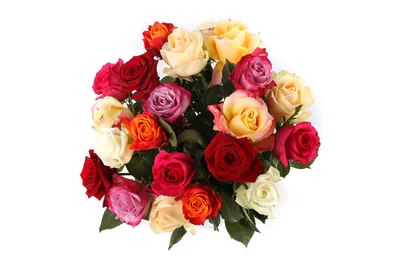 Букет Фламандская легенда (51 роза) купить по цене 14 990 руб |  Круглосуточная доставка в Москве — СоюзЦветТорг