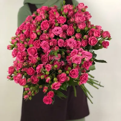 Кустовая роза «Лавли Лидия» (Lovely Lydia) - 250 руб, купить в Воронеже в  магазине «Цветы Экспресс»