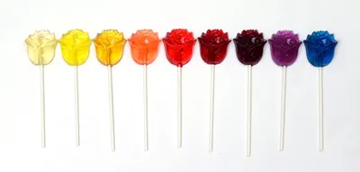 Lollipop® Rose | Kordes Rosen