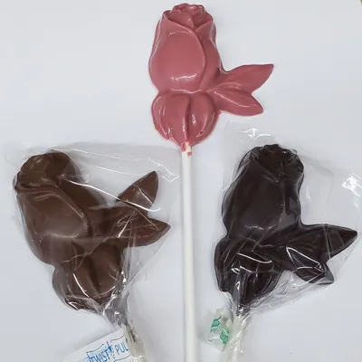 Flower Lollipop Rose – In Motion Design