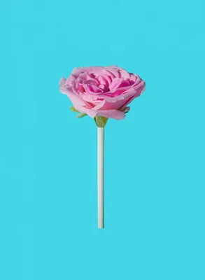 Galerie Rose Assorted Lollipops, 2.12 Oz. - Walmart.com