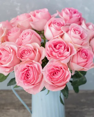 Luciano! - Farm Direct Flowers | Premium Roses, Sustainably Sourced.