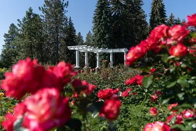 Rose Hill at Manito Park... - Spokane Parks and Recreation | Facebook