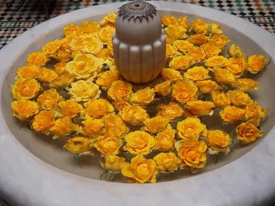 Labranda Rose Aqua Parc in Marrakech, Morocco from $46: Deals, Reviews,  Photos | momondo