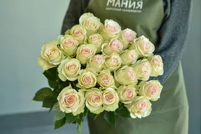 Огромный букет белых роз с Днем Рождения из 151 цветка