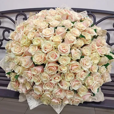 Каталог