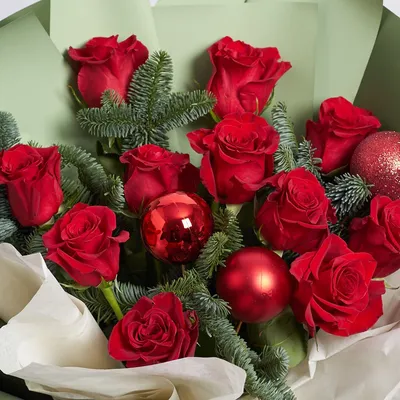 Саженцы розы Беби Маскарад купить в Москве по цене от 630 до 2340 руб. -  питомник растений Элитный Сад