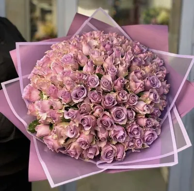 101 роза Мемори Лейн 🌺 купить в Киеве с доставкой - цена от Камелия