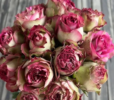 21 роза Мемори Лейн в коробке в Алчевске: купить коробку цветов с  доставкой, заказать на Flosend