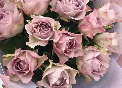 Букет из роз Мемори Лейн - заказать доставку цветов в Москве от Leto Flowers