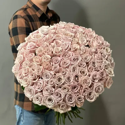 Розы Menta - купить в Москве по отличной цене с недорогой доставкой в  цветочном магазине BotanicaLab