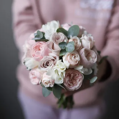 Роза Menta (Мента) – купить саженцы роз в питомнике в Москве