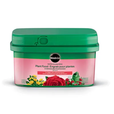 Miracle-Gro Water Soluble Rose Plant Fertilizer | Miracle Gro Canada