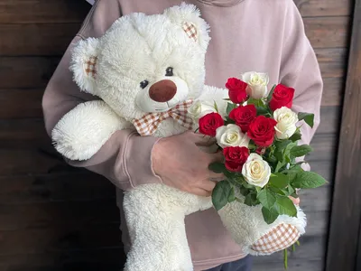 Роза Мишка Michka - купить саженцы роз с доставкой по Украине в магазине  Добродар
