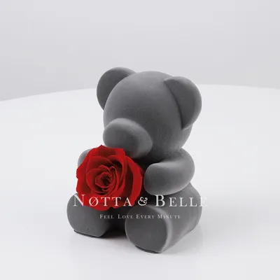 Букет красных роз с белой серединкой и плюшевым мишкой | Kytice Expres