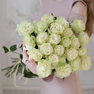 Rose Mondial | Sabina Flowers