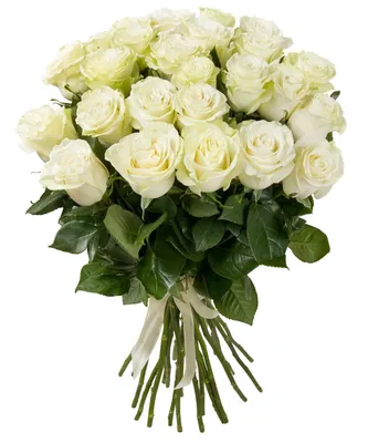 Mondial - Rose - Esmeralda Farms Wholesale Flowers