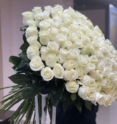 Mondial | White Rose | Fresh Flowers
