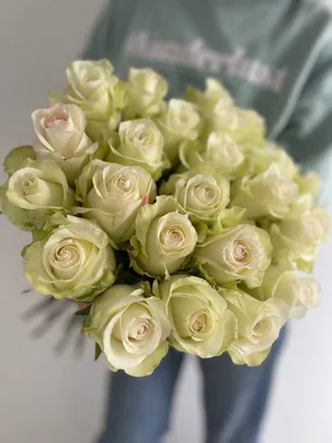 Pink Mondial Rose - Wholesale Bulk Flowers - Cascade Floral