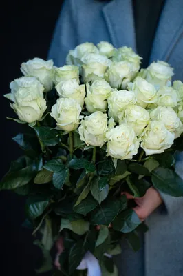 White Mondial Rose (100 Stems) — Farm Direct Rose