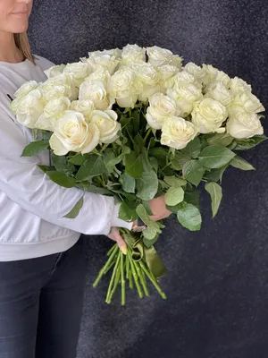 Ecuadorian roses Rose MONDIAL | Flower delivery Florex