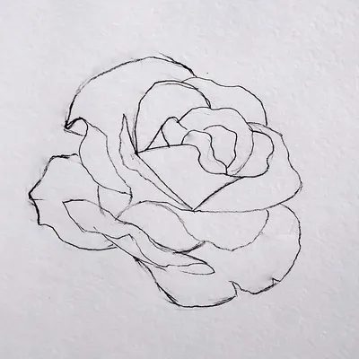 Как нарисовать розу акварельными красками