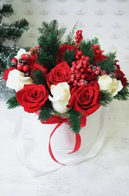Красные розы с нобилисом в зимнем оформлении доставка в Красноярске |  ФлоРум24