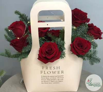 Elixir Floral Rosa Nobilis Viorica Cosmetics perfume - a fragrance for women